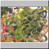 DSCN4807.JPG