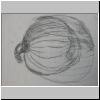 DSCN4829.JPG