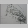 DSCN4831.JPG