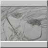 DSCN4833.JPG