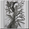 DSCN4853.jpg