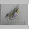 DSCN4874.JPG
