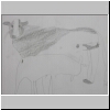 DSCN4894.jpg