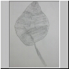 DSCN4895.jpg
