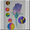 DSCN4902.jpg