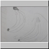 DSCN4918.jpg
