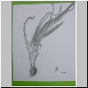DSCN5029.jpg
