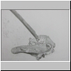 DSCN5030.jpg