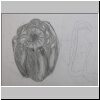 DSCN5034.jpg