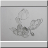 DSCN5036.jpg