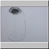 DSCN5038.jpg