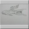 DSCN5016.jpg