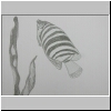 DSCN5019.jpg