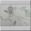 DSCN5023.jpg