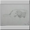 DSCN5027.jpg