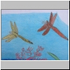 DSCN4986.JPG