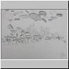 DSCN4990.jpg