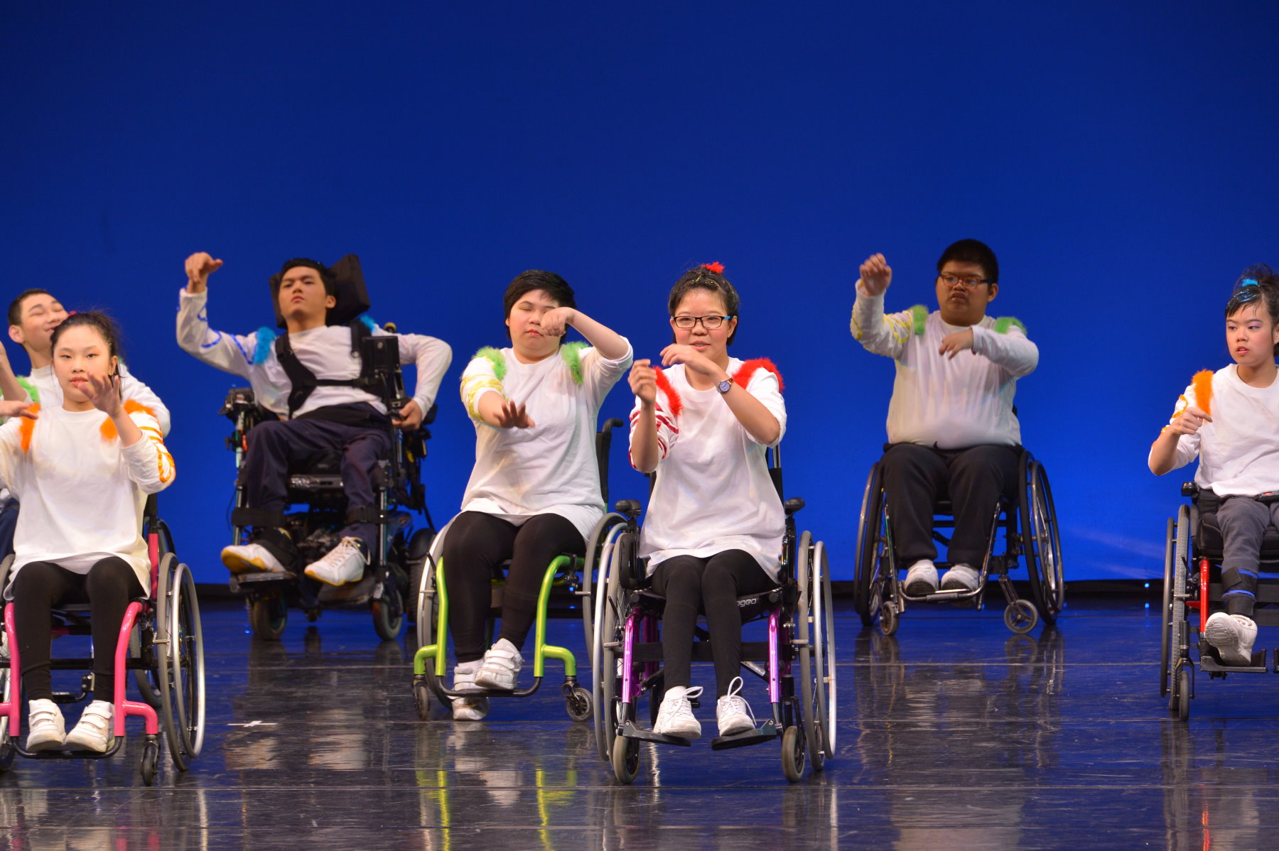 第五十屆學校舞蹈節