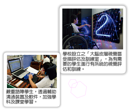 視覺障礙學生的照顧因應視覺障礙學生的學習困難及需要，職業治療部及教學部於2004年成立了「視障兒童學習小組」，關注視障學生的學習需要。嚴重語障學生的照顧針對嚴重語障學生的學習困難，言語治療部及教學部於2003年成立「非口語學生學習關注小組」。多年來透過輔導班、溝通手冊、定期會議、分享會及電腦版面設計等促進教職員對嚴重語障學生學習需要的了解。