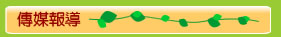 傳媒指導