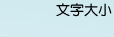 文字大小
